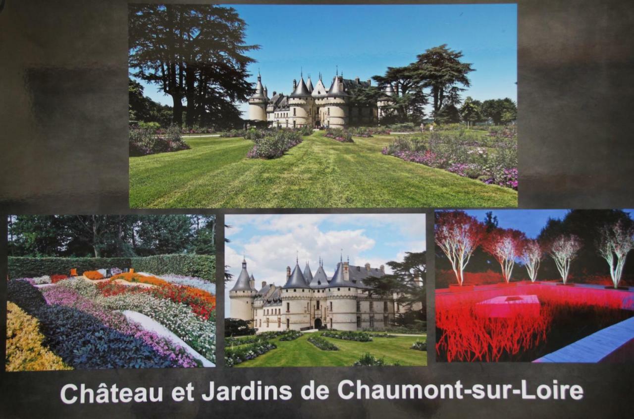 Sur Les Toits D'Amboise Exterior photo